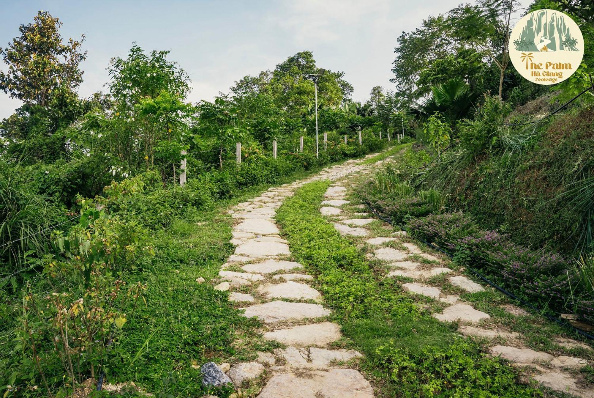 Tvpalm Ecolodge 하 기앙 외부 사진