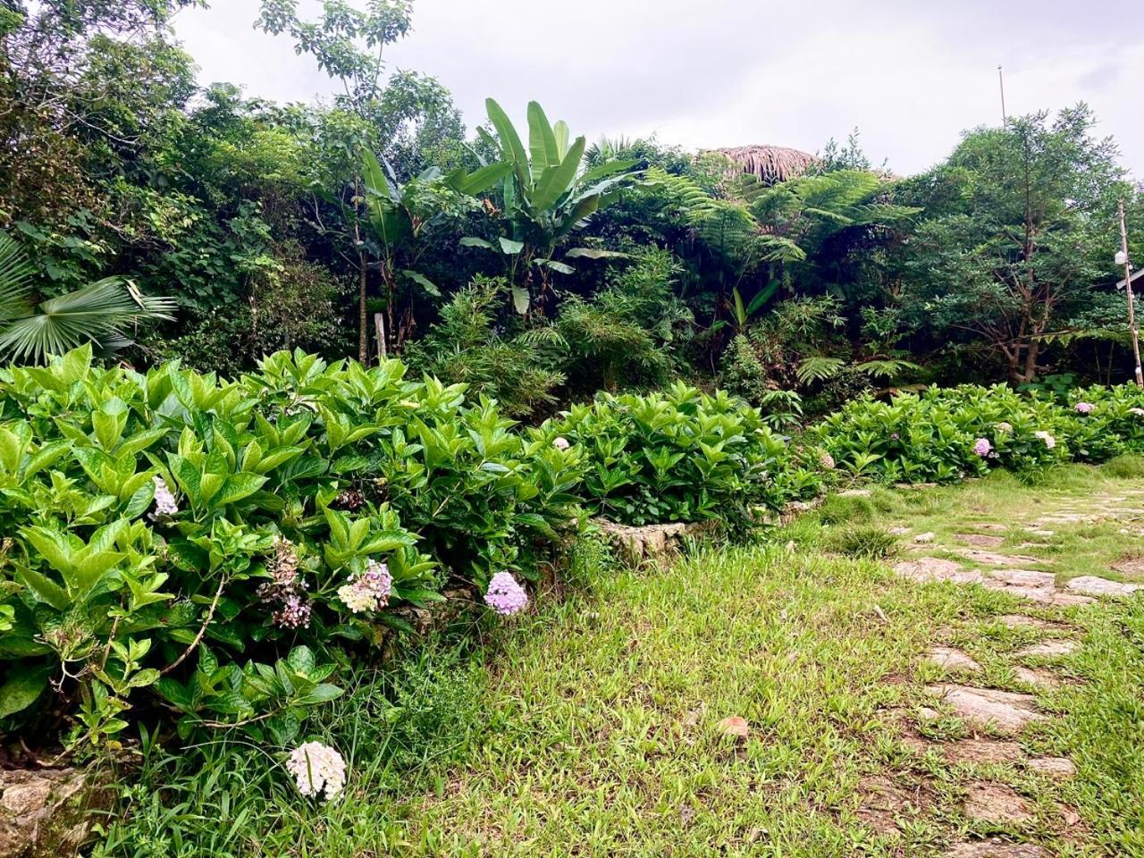 Tvpalm Ecolodge 하 기앙 외부 사진