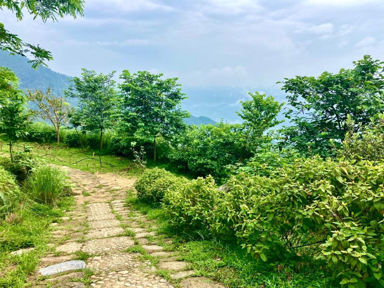 Tvpalm Ecolodge 하 기앙 외부 사진