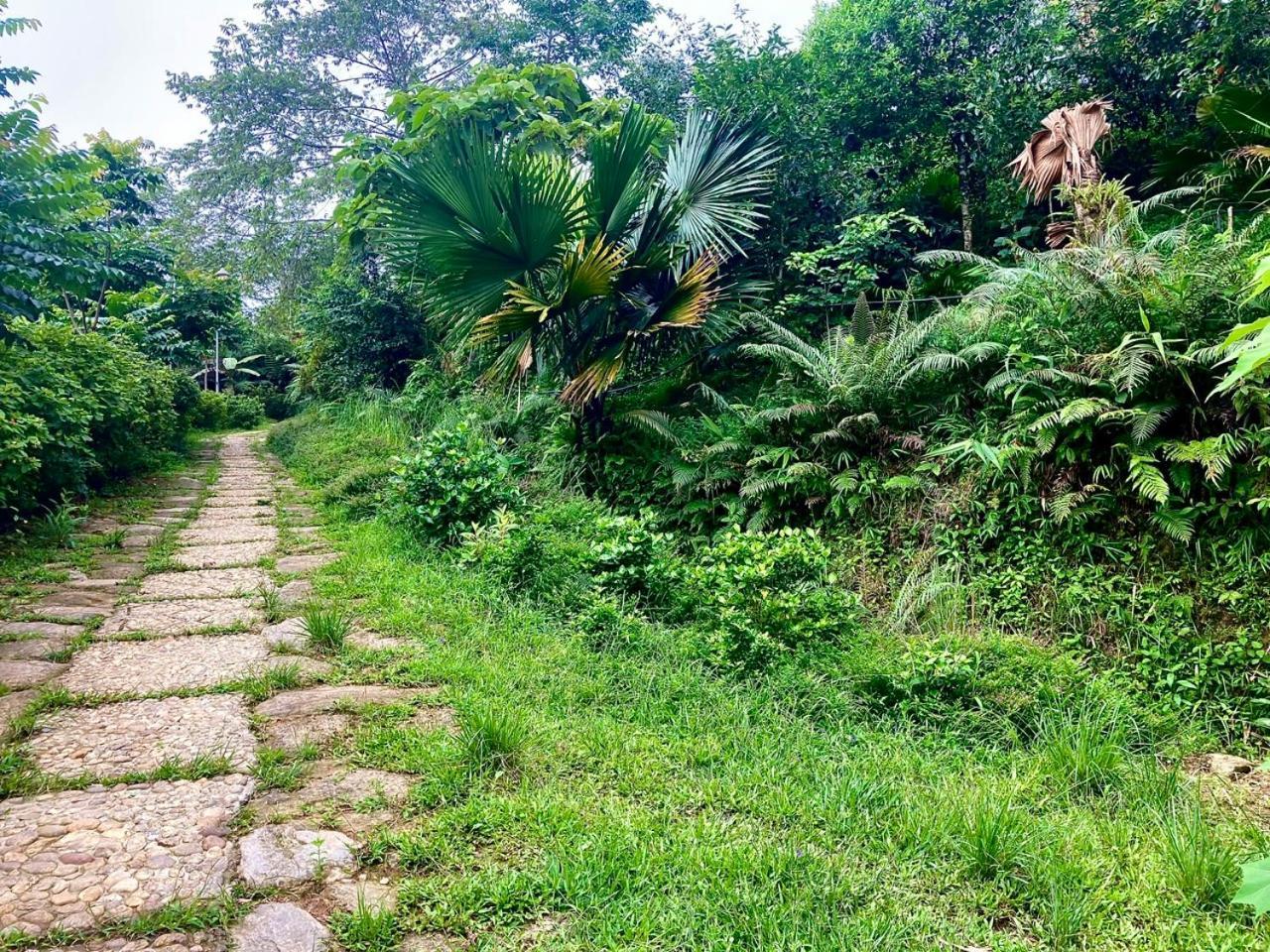Tvpalm Ecolodge 하 기앙 외부 사진